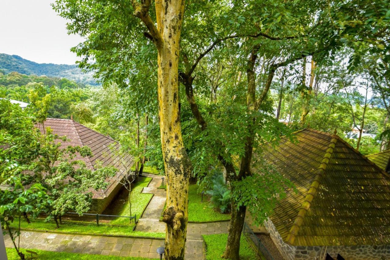 Hotel Treetop テッカディ エクステリア 写真