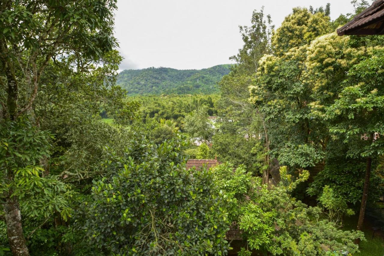 Hotel Treetop テッカディ エクステリア 写真